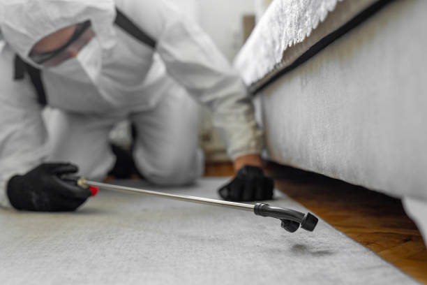 Professional Termite Control technician working in Strongsville, OH