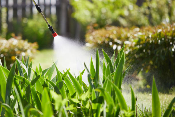 24/7 Emergency Termite Control experts in Strongsville, OH