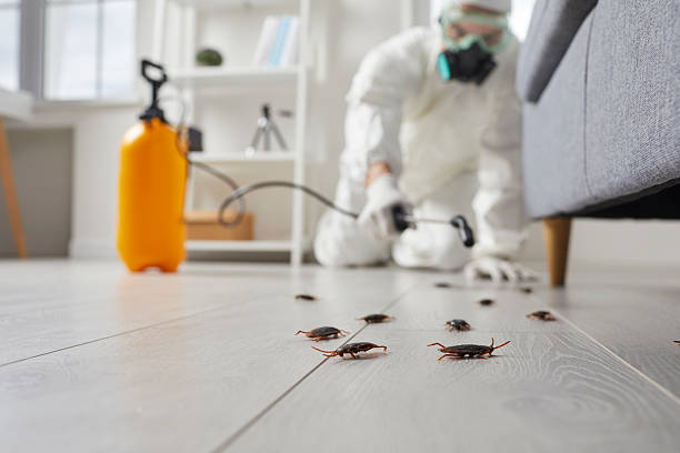 Trusted Termite Control service in Strongsville, OH - Nex Pest Control